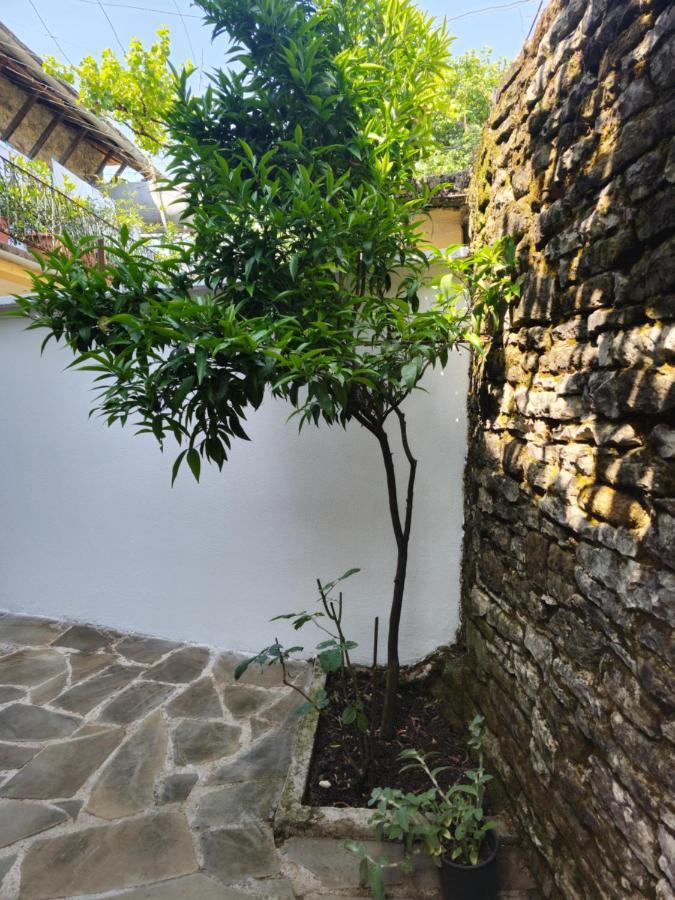 Traditional House Shapllo Gjirokastra Zewnętrze zdjęcie